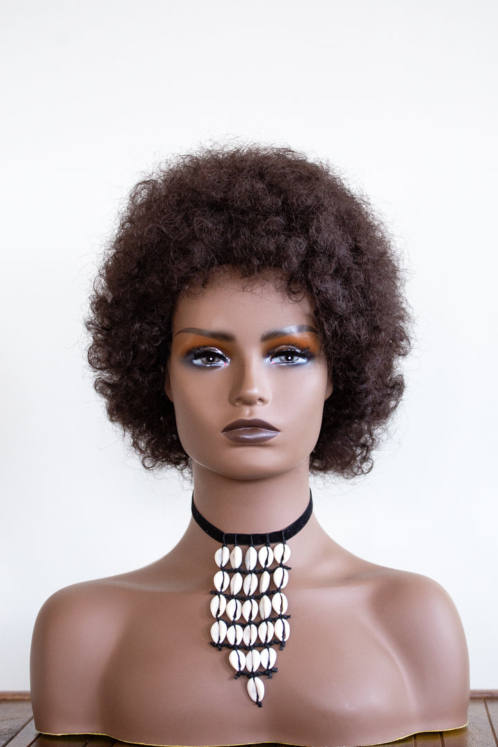 Short Synthetic Hair Coily, Curly Wigs