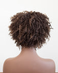 back view of Coils to Locs ashanti wig, brown with golden highlights.