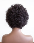 Coils to Locs Eboni synthetic curly afro wig back view
