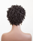Coils to Locs jasmine black wig on mannequin, back view.