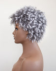Coils to Locs Jasmine onxy (salt and pepper)) wig on mannequin. Side view.