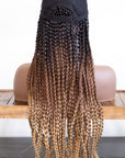 Mannequin with a Coils to Locs kimmie cap dark brown golden ombre braids back view.
